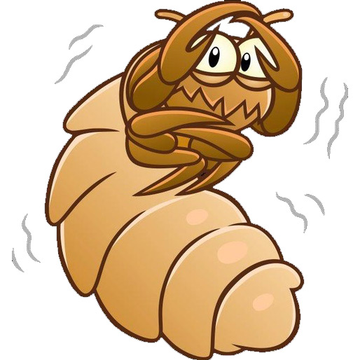 lice-afraid-w